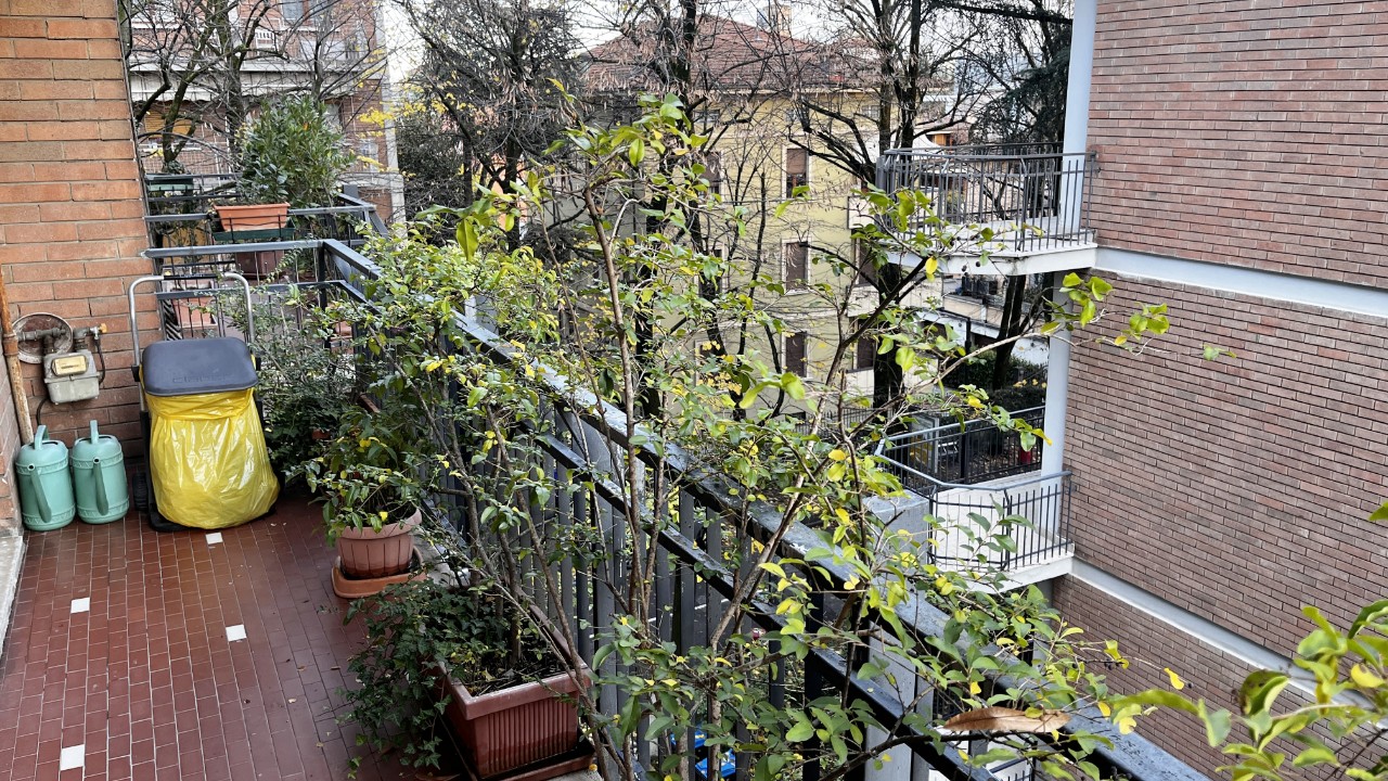 Cittadella